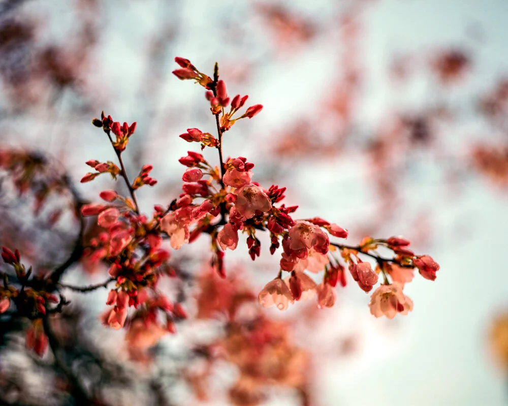 untitled-2-Edit.jpg