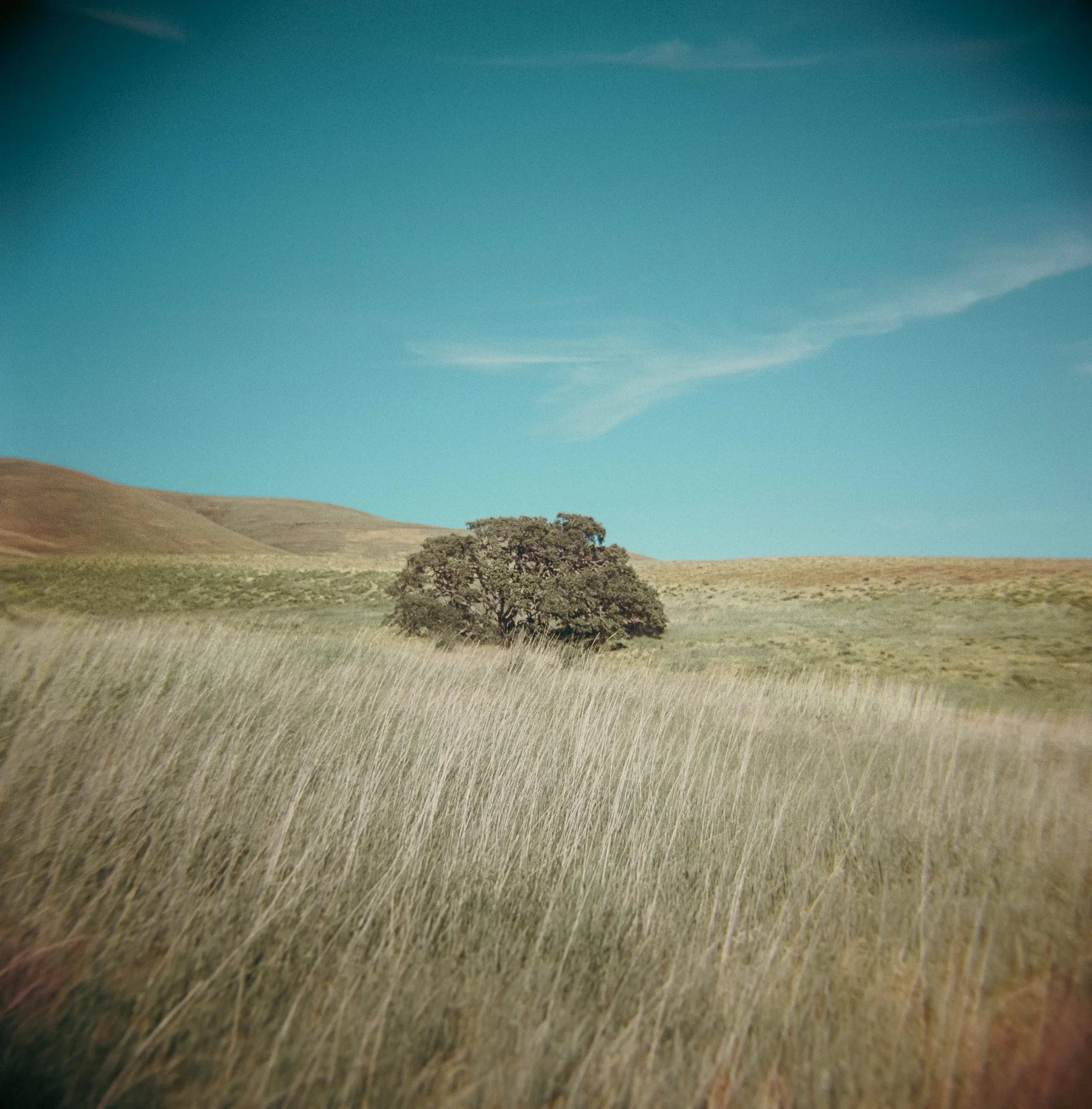Under the Open Silence