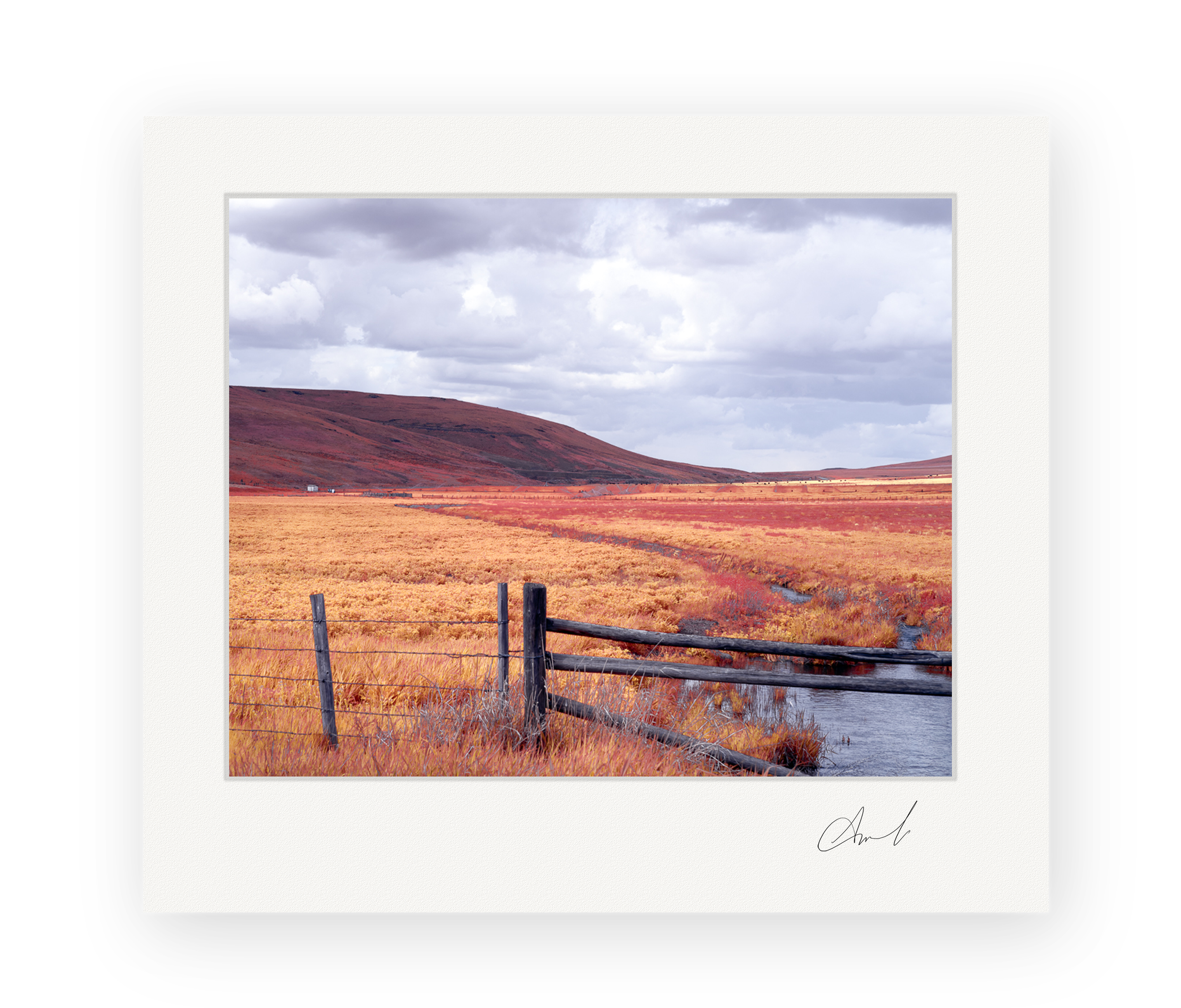 Copper Meadow