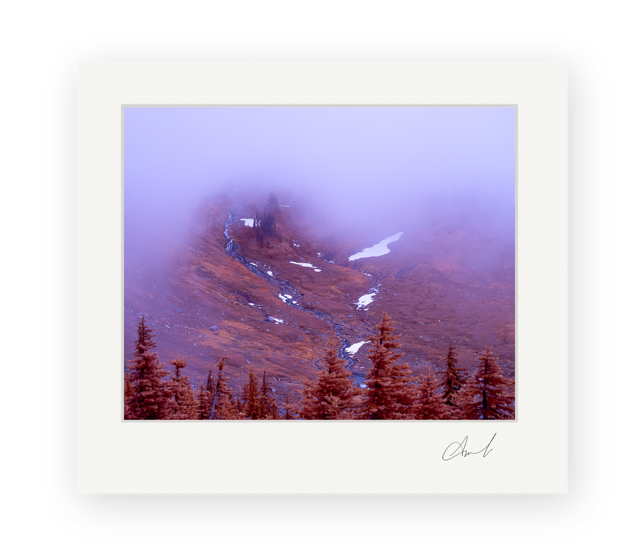 Violet Vale
