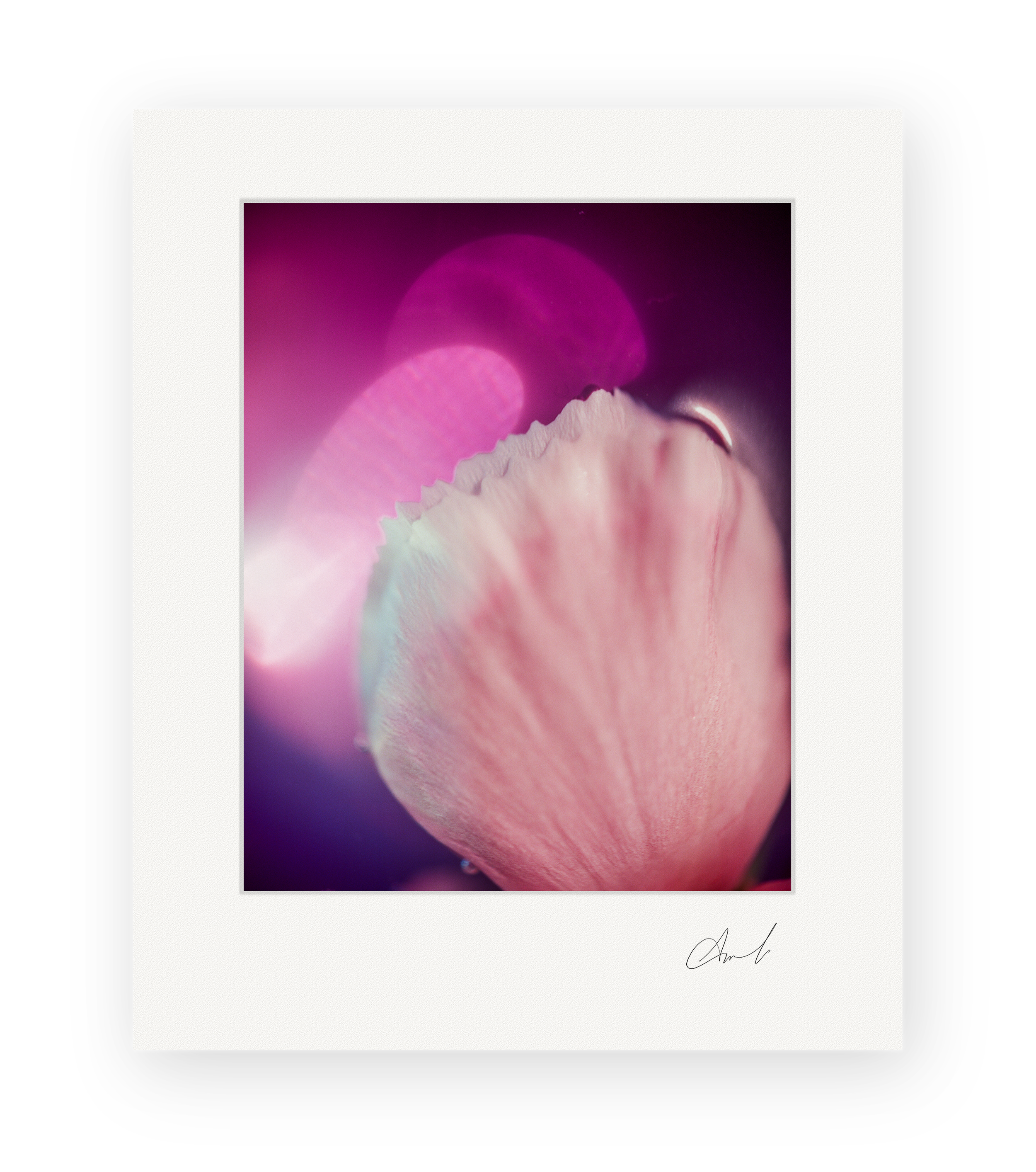 Veilight