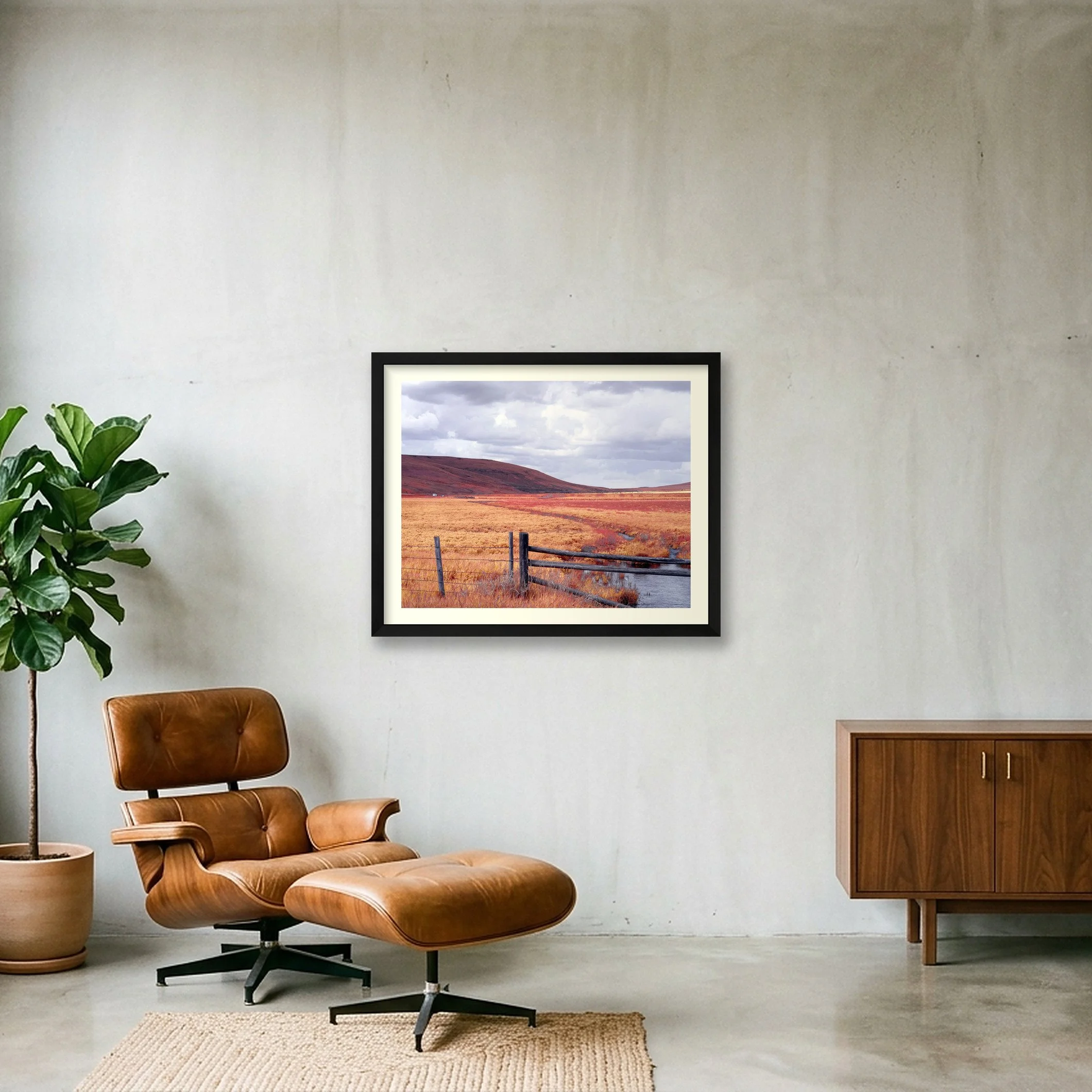 shot_wall_8bf06d3a.jpg