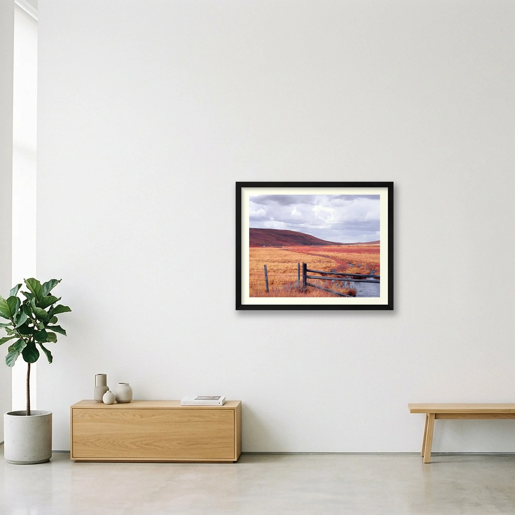 shot_wall_8bf06d3a.jpg