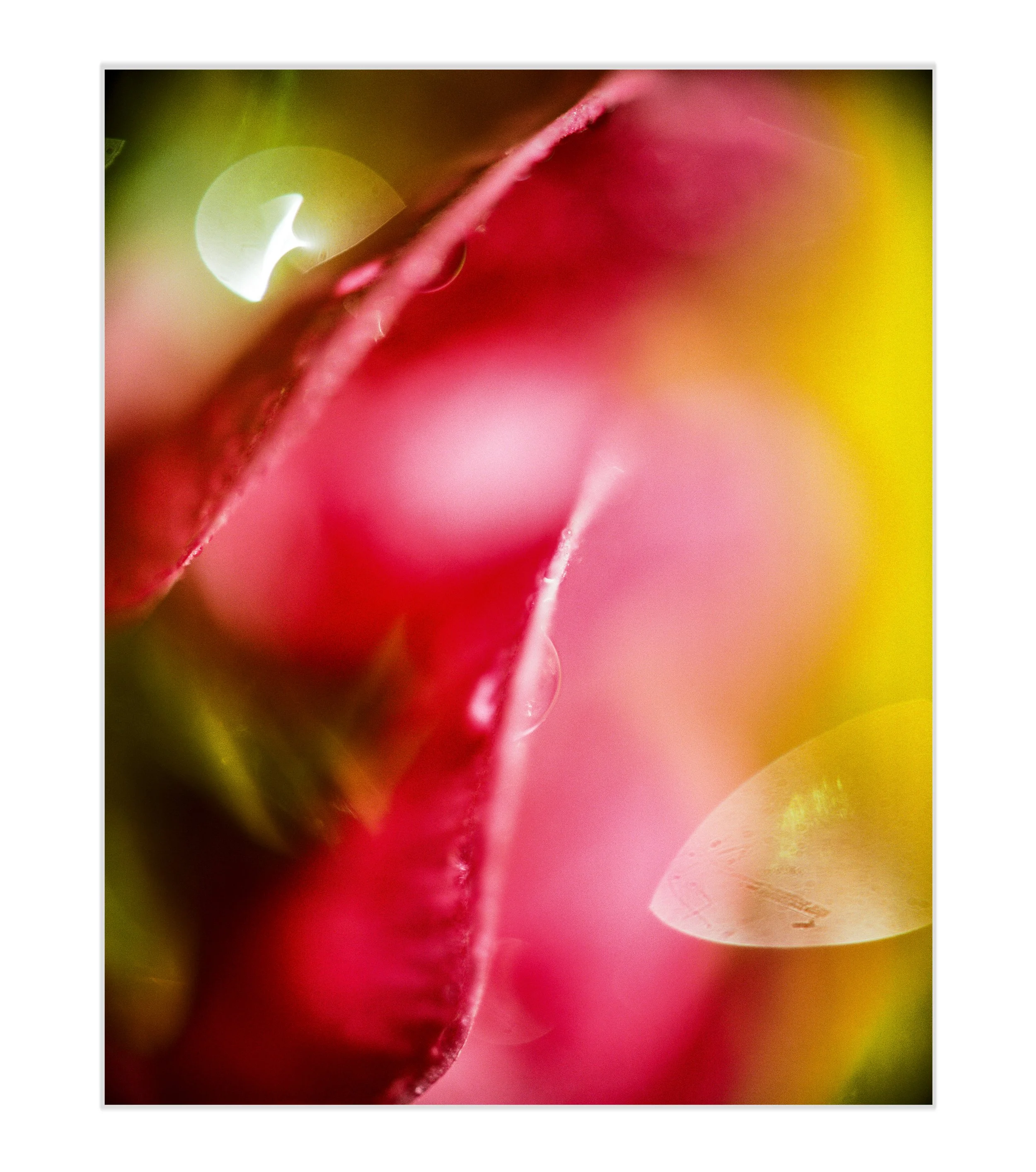 Whispered-Vibrations-Art Prints.jpg