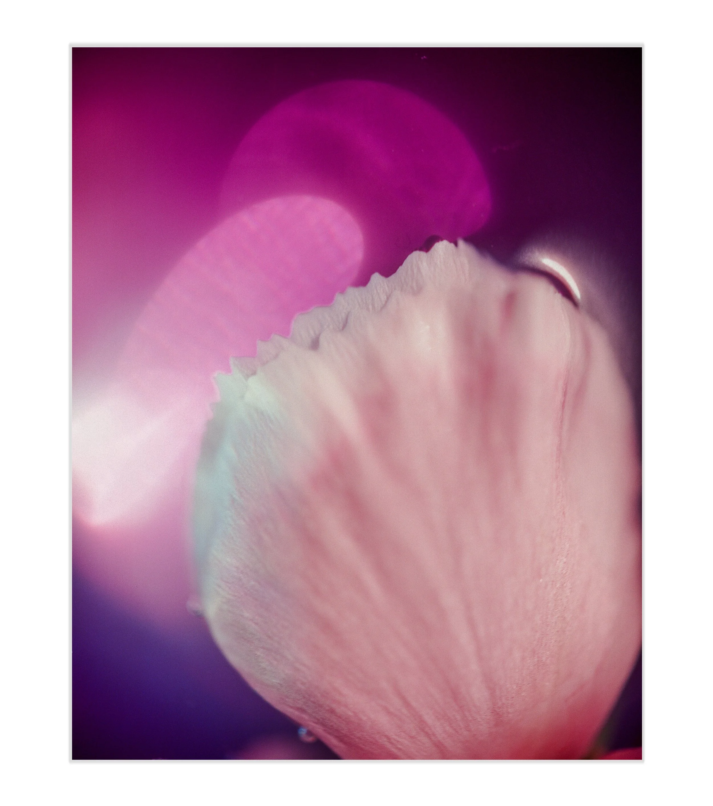 Veillight-Art Prints.jpg