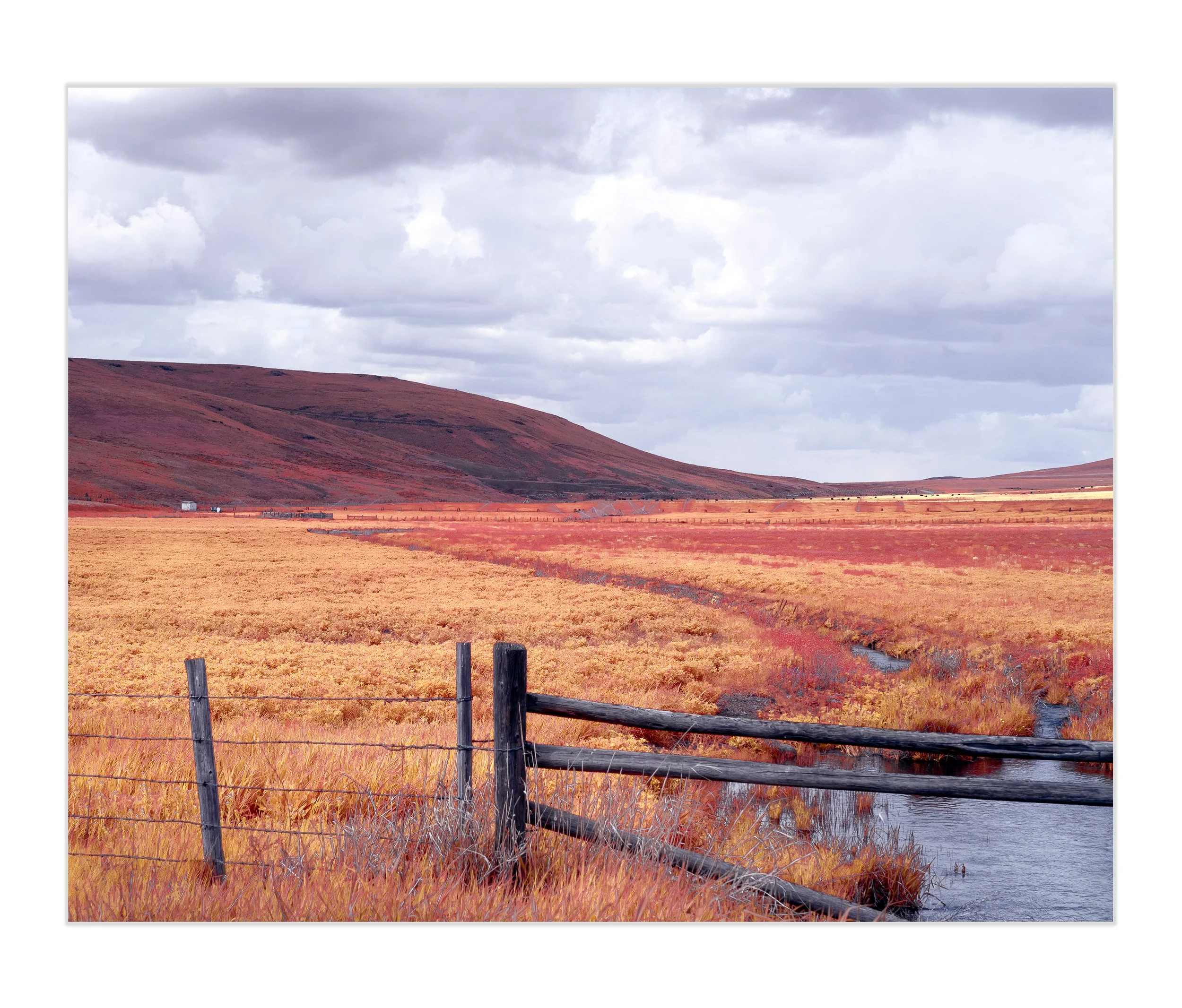Copper-Meadow-Art Prints.jpg
