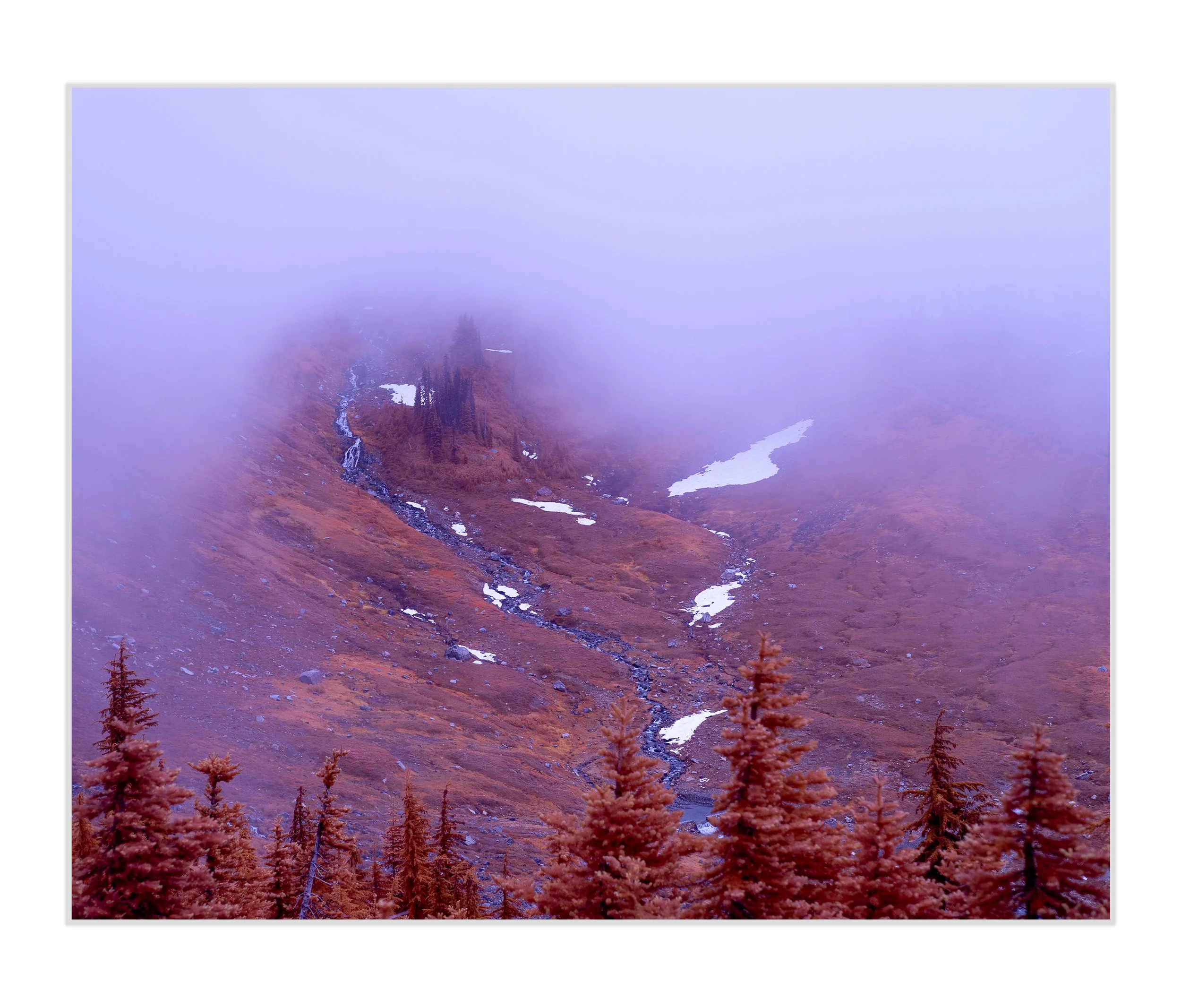 Violet-Vale-Art Prints.jpg