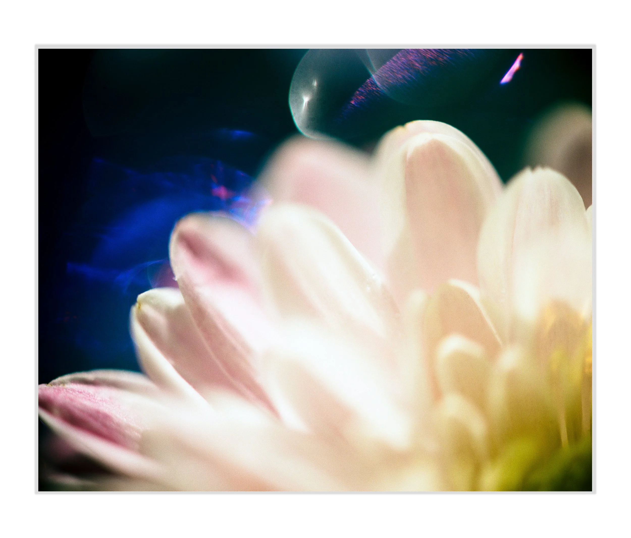 The-Shape-of-Quiet-Art Prints.jpg