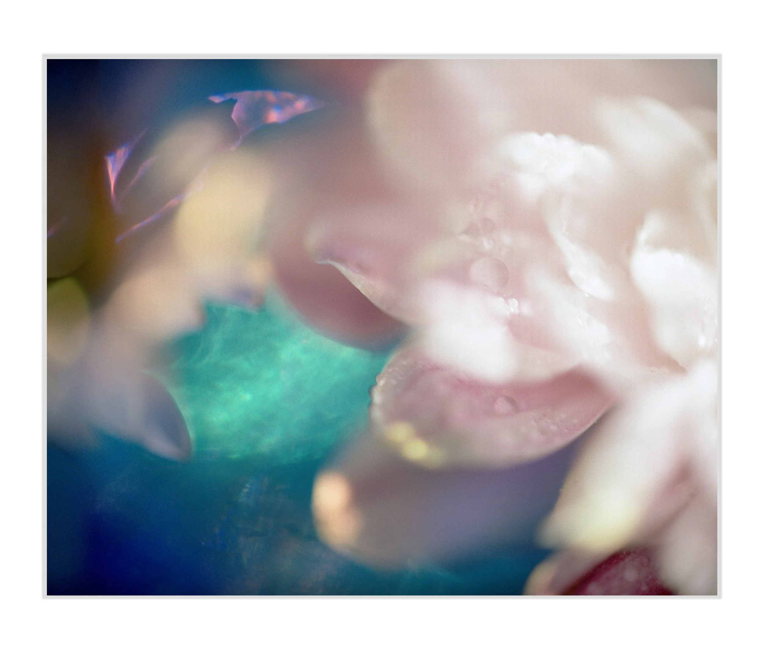Held-Beneath-Art Prints.jpg
