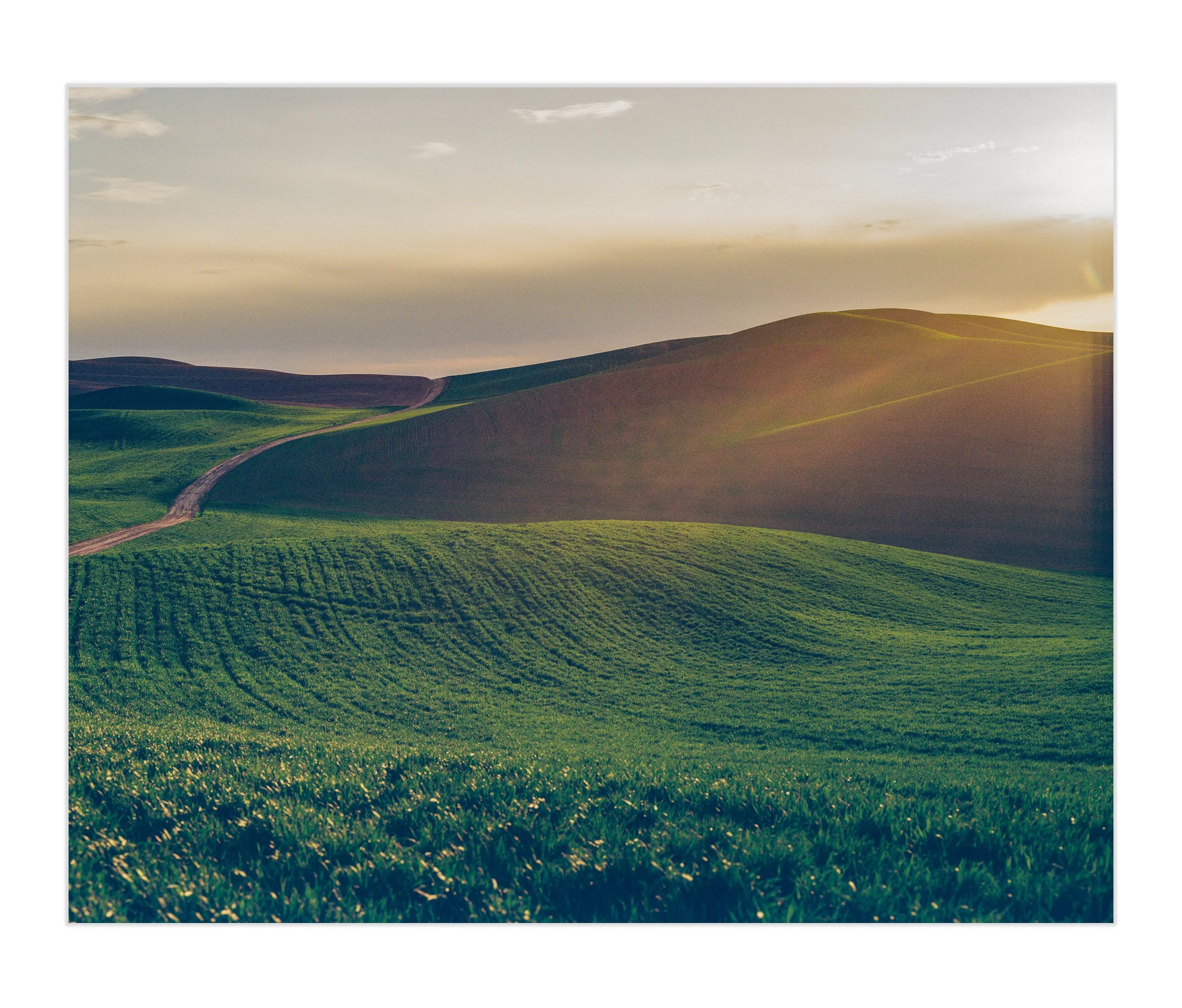 Memory-of-the-Way-Art Prints.jpg