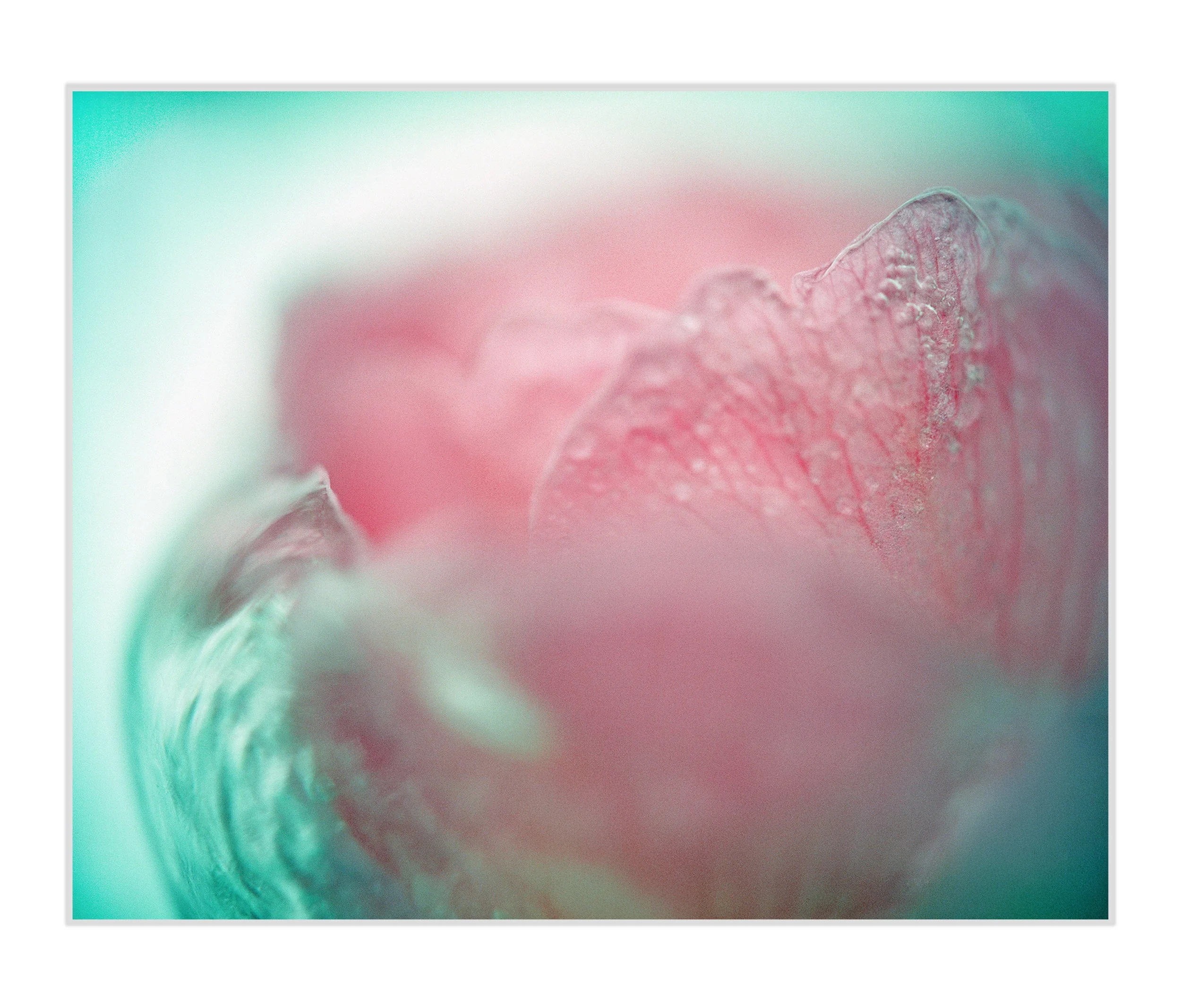 Ethereal-Remains-Art Prints.jpg
