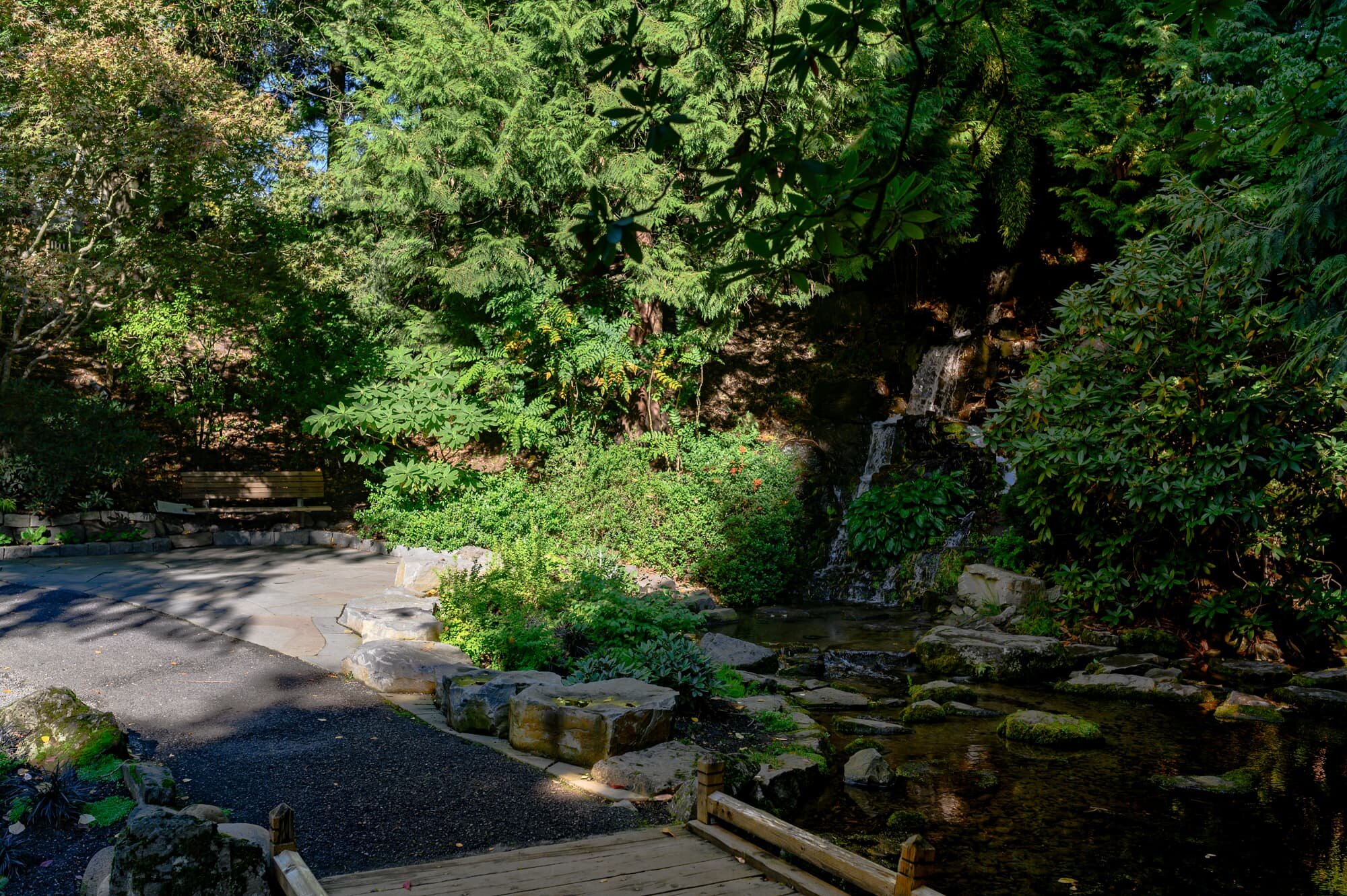 Jane Martin Ceremony Location at Crystal Springs Rhododendron Garden