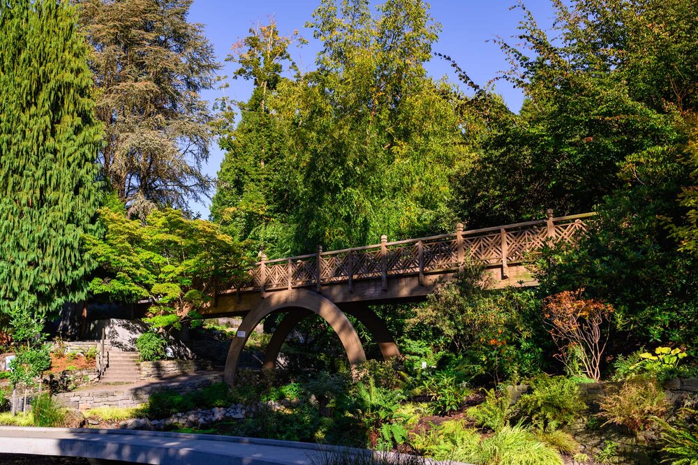 Bridge in Crystal Springs Rhododendron Garden