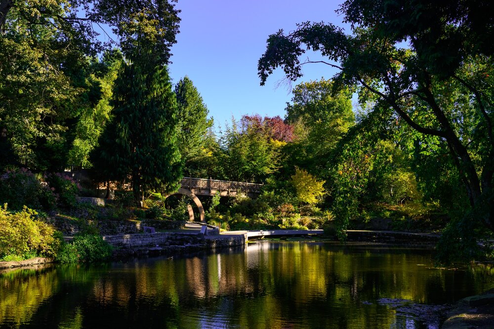 Pond at Crystal Springs Rhododendron Garden