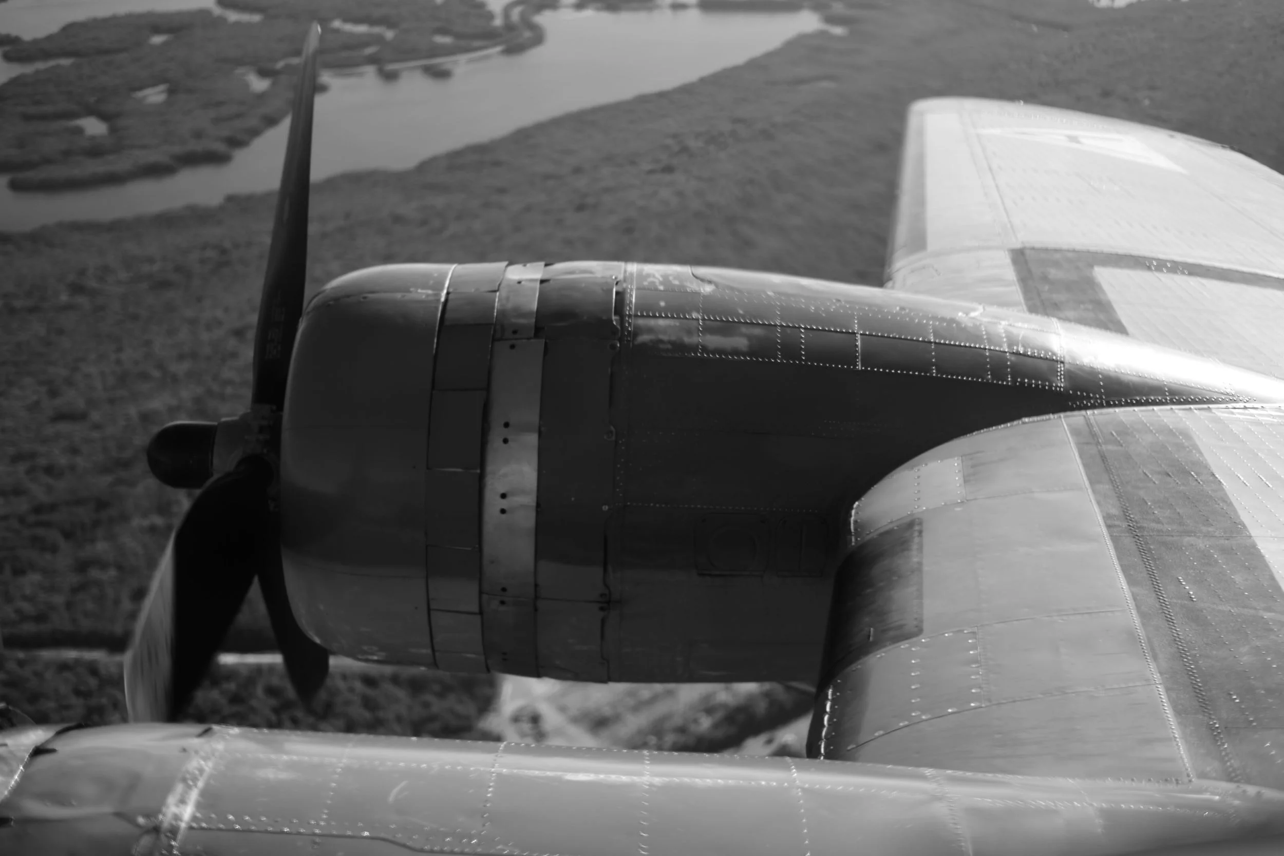 Right wing monocrome.jpg