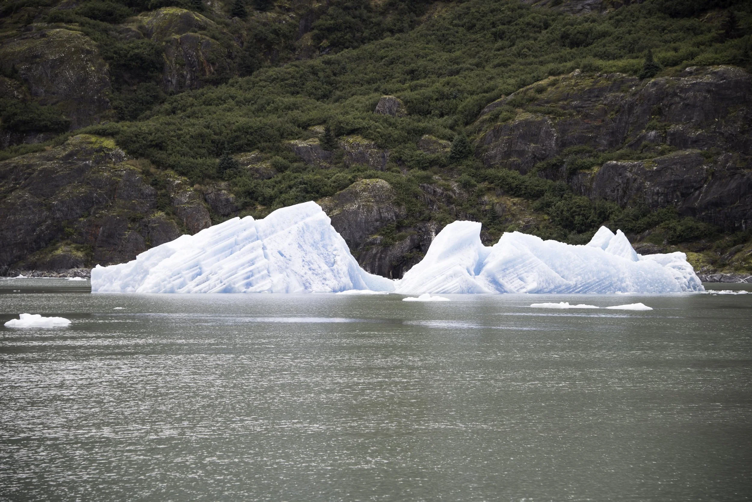 Ice Berg-6219.jpg