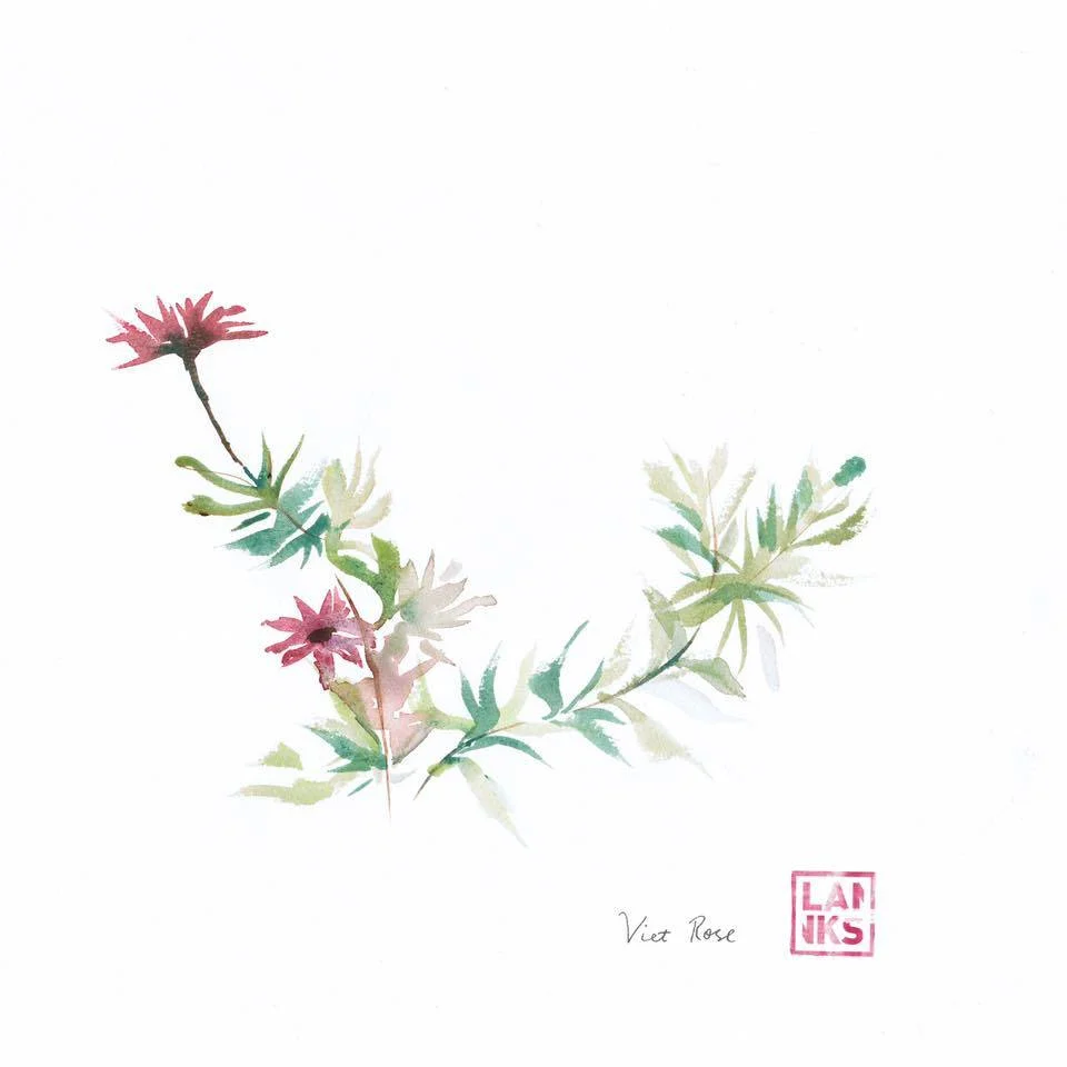 'Lanks' album cover