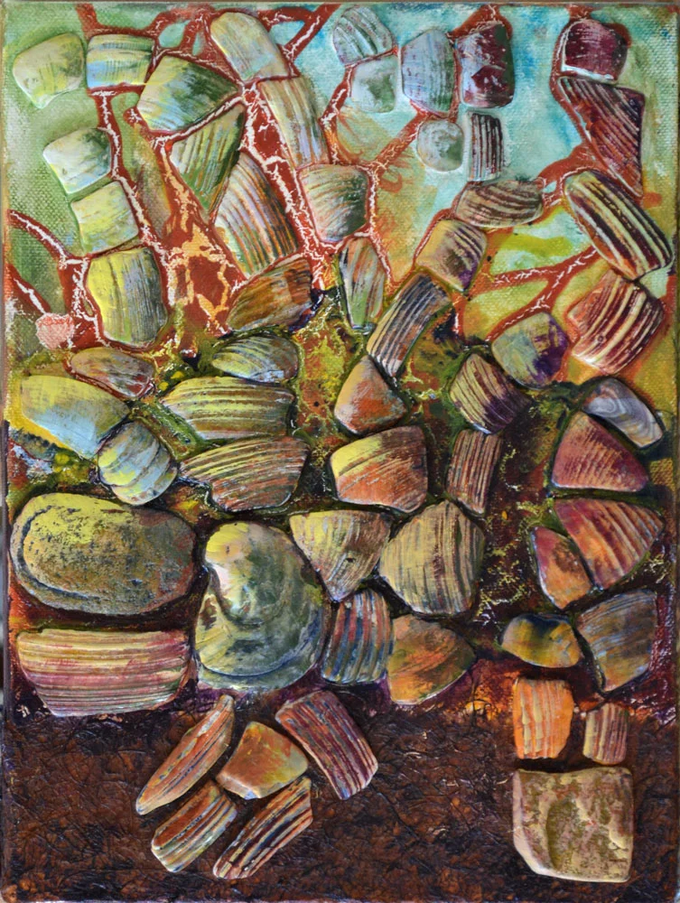 Seashells from the Seashore