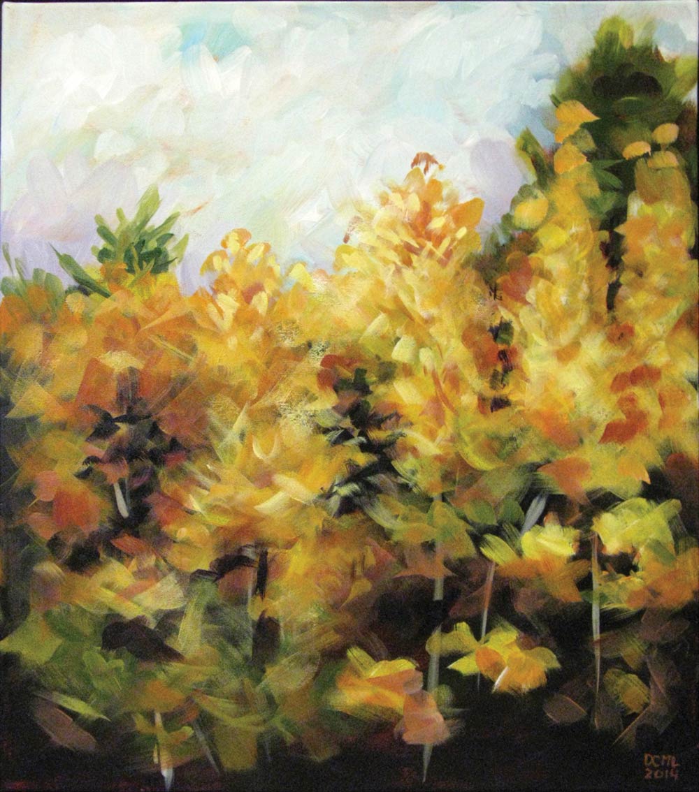 Tamaracks on the way to Bridgewater - NA