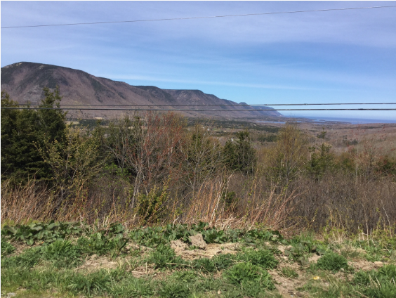 Above: From somewhere along the Cabot Trail. We went in May, so the leaves were not fully out yet. And when we got to the highlands, there was even a bit of snow left along the highway - eeks!
