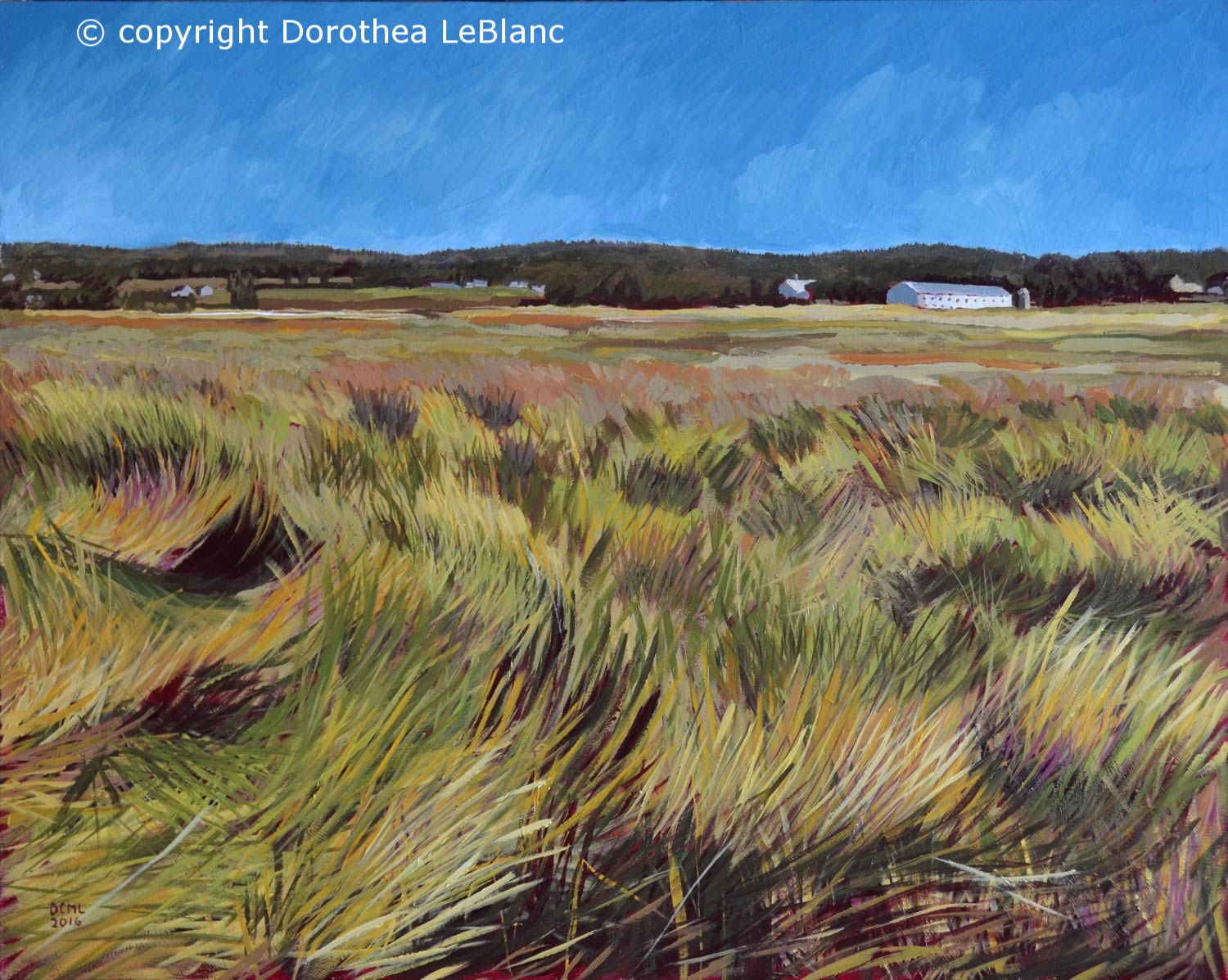 Ocean Swept Grass of Scott's Bay, Nova Scotia