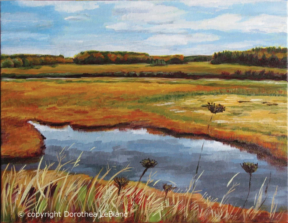 Cheverie Creek Salt Marsh