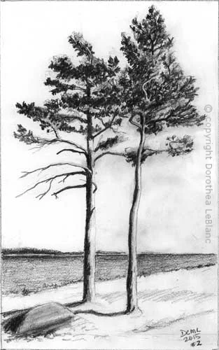 Two Trees for Drawing #2