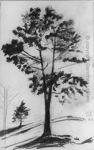 #3 Tree in the Sun