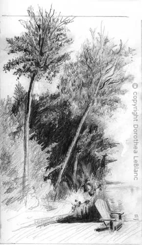 #5 Trees by the Water's Edge