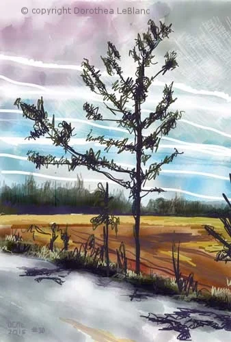 #29 Roadside Scene