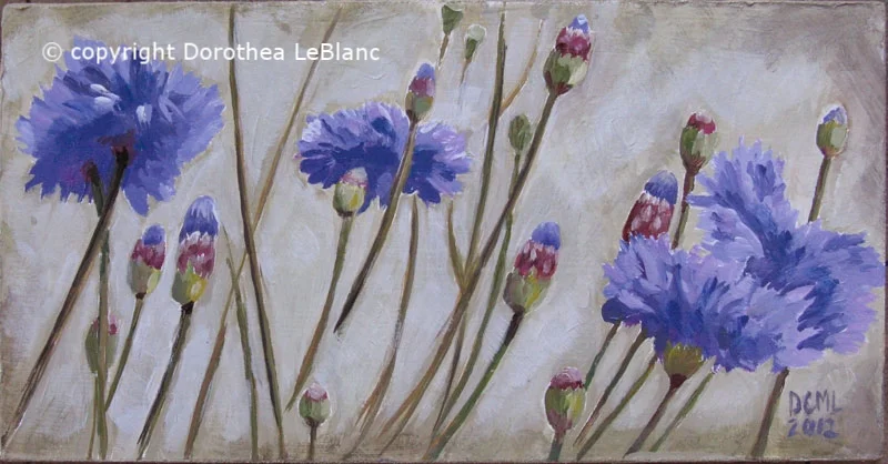 Corn Flowers for my Father
