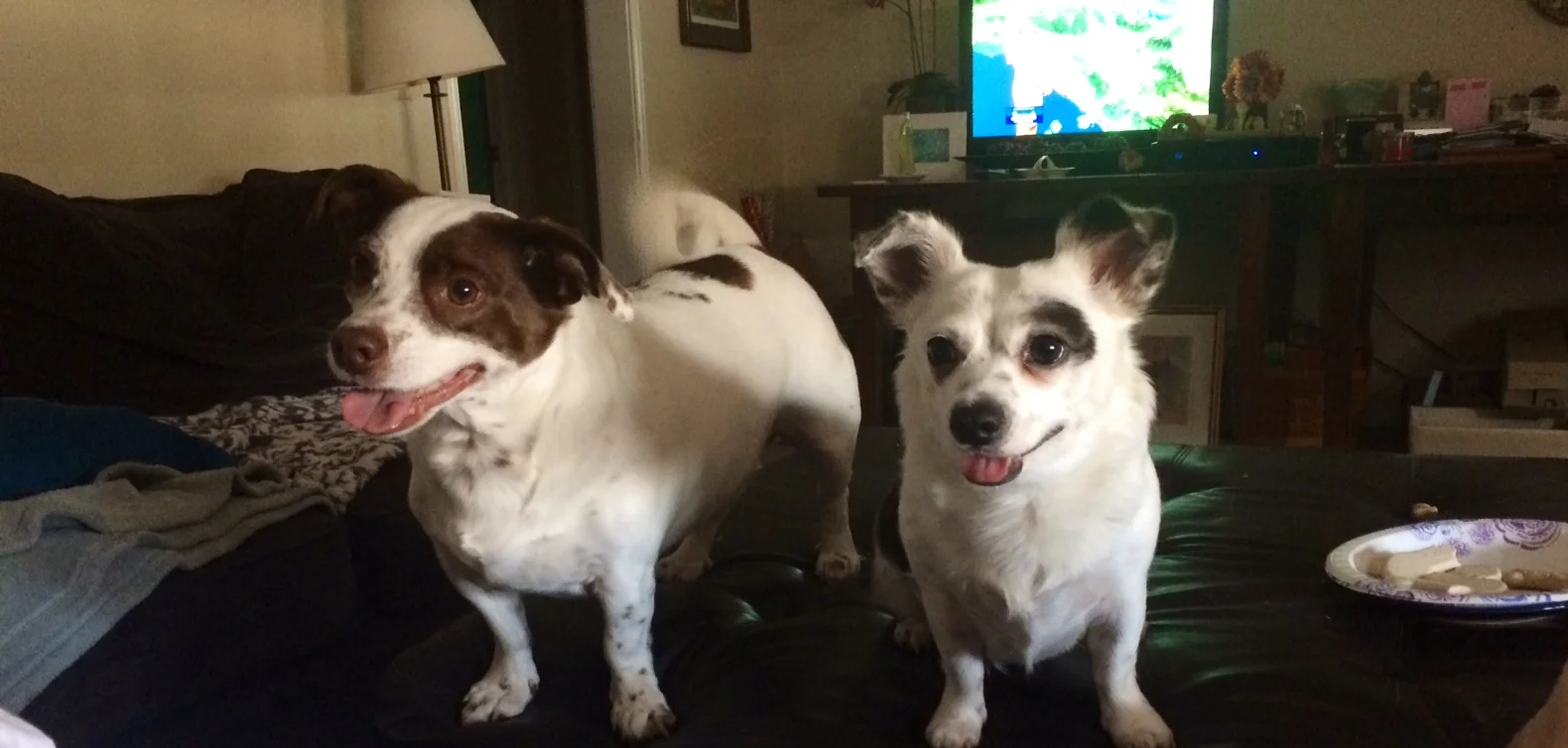 Jack and Jill Reference Photo