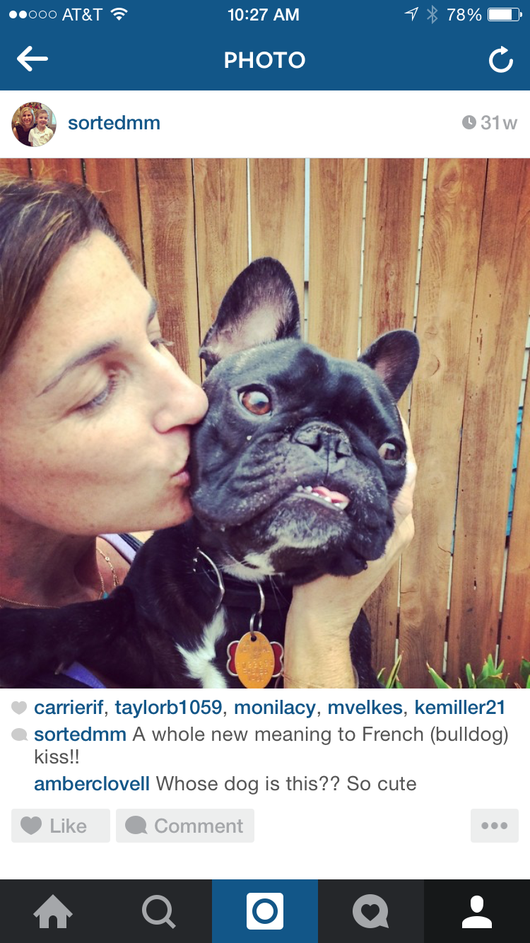 Yoda Reference Photo