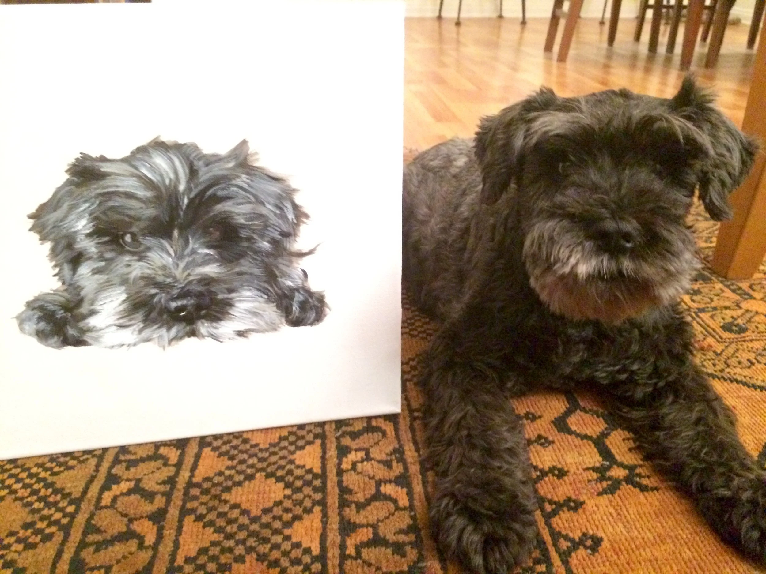 Emmy and her Portrait