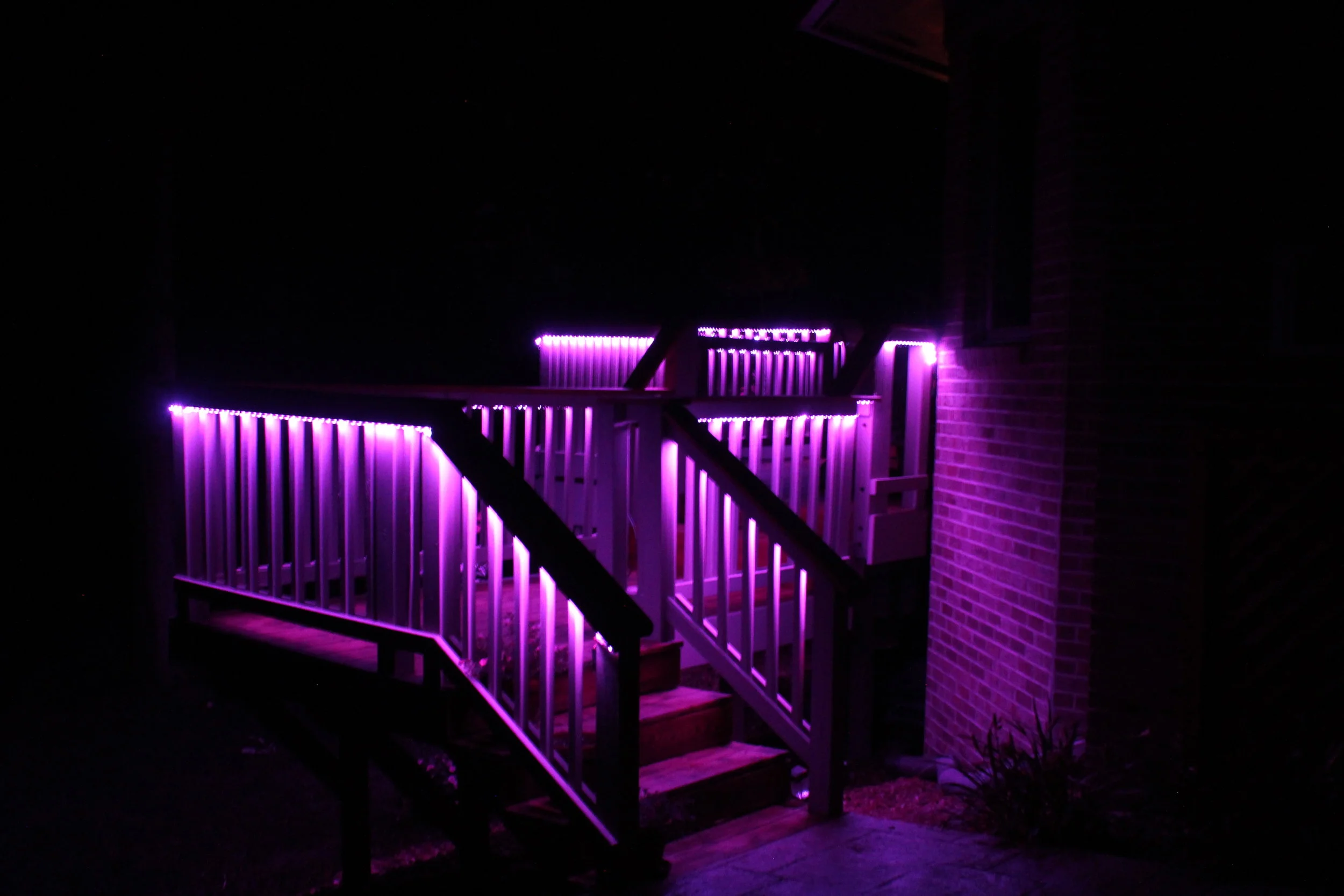 Copy of IMG_8997.JPG