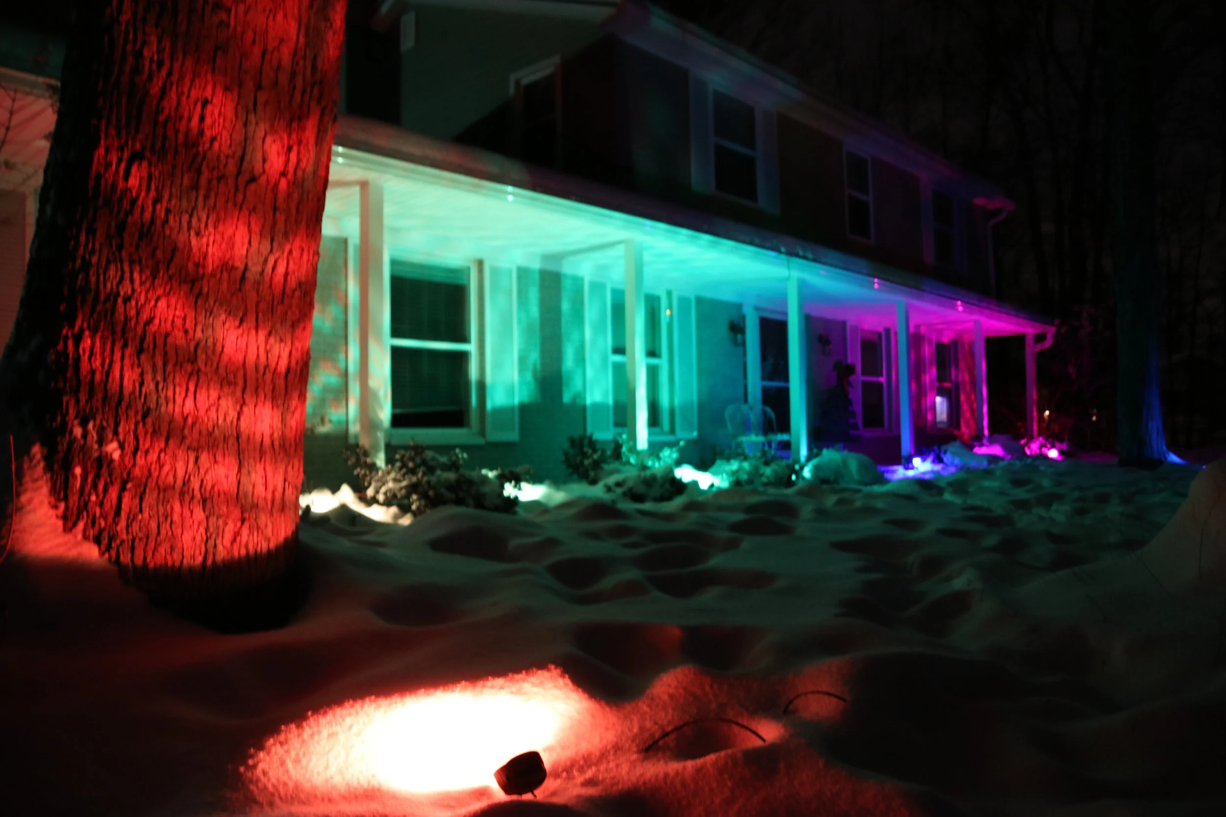 Copy of IMG_8496.JPG