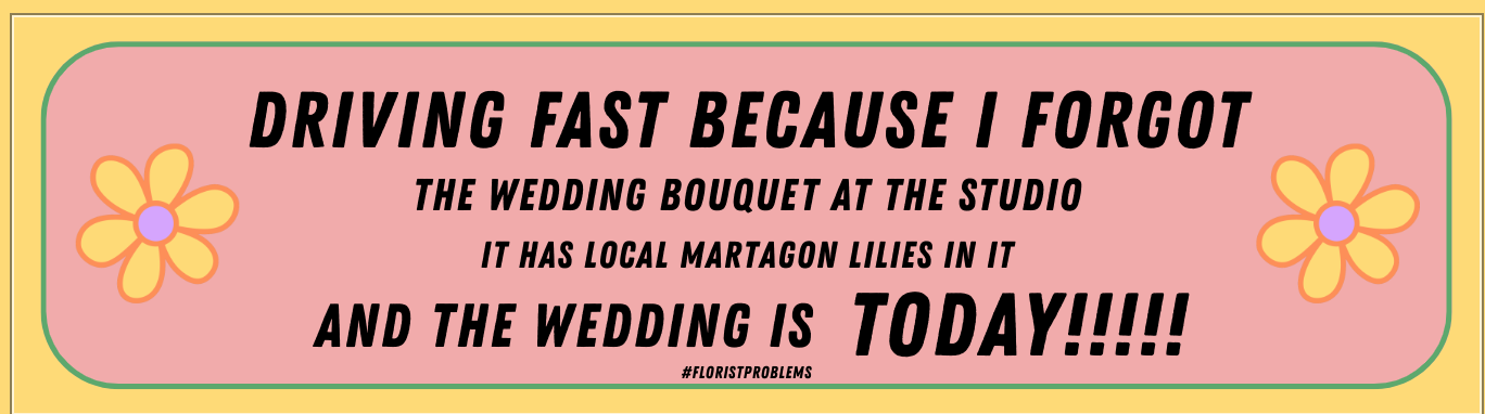 Screen Shot 2026-02-11 at 8.53.09 PM.png