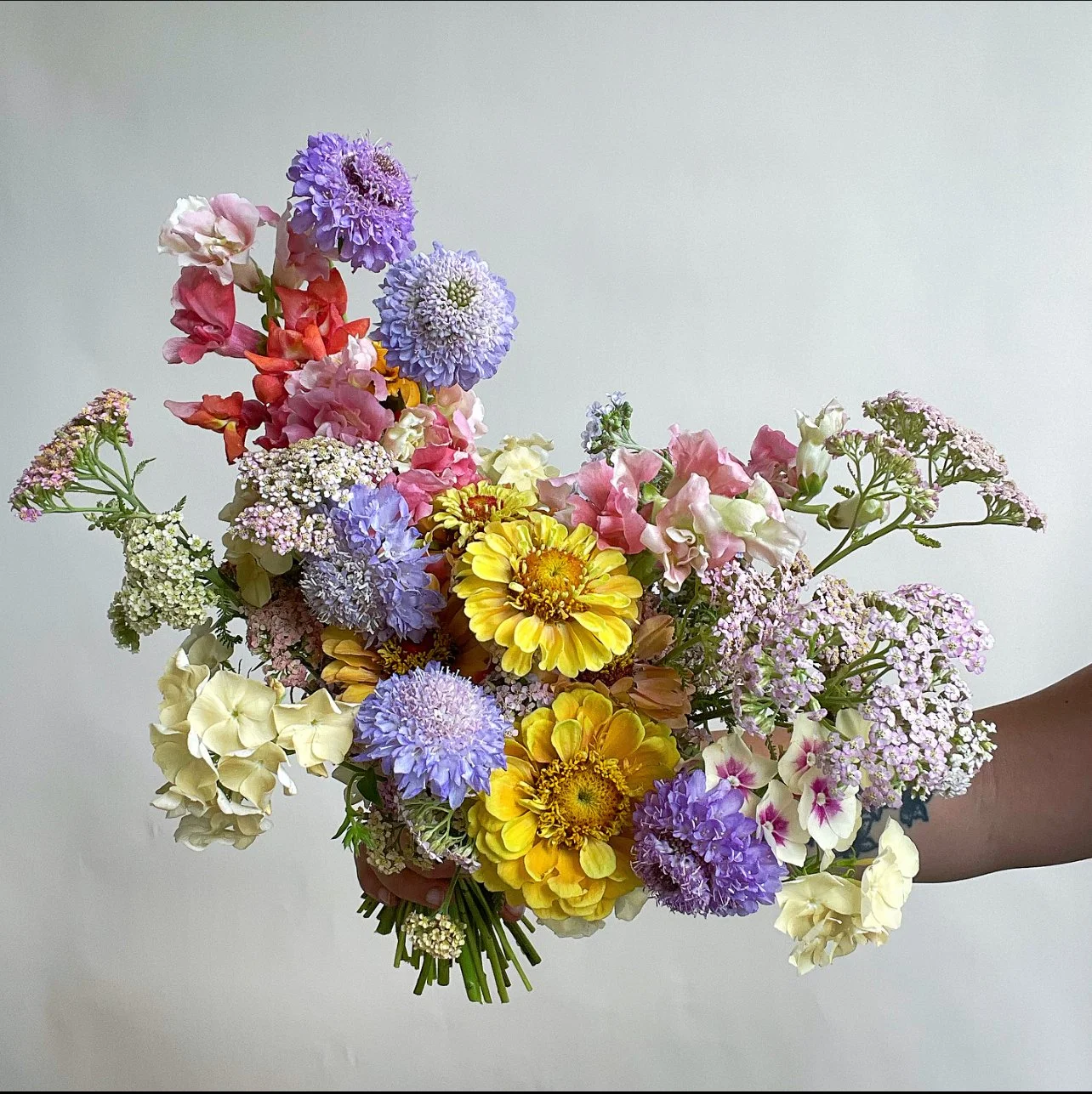 Screenshot 2024-07-10 at 15.41.54.jpeg