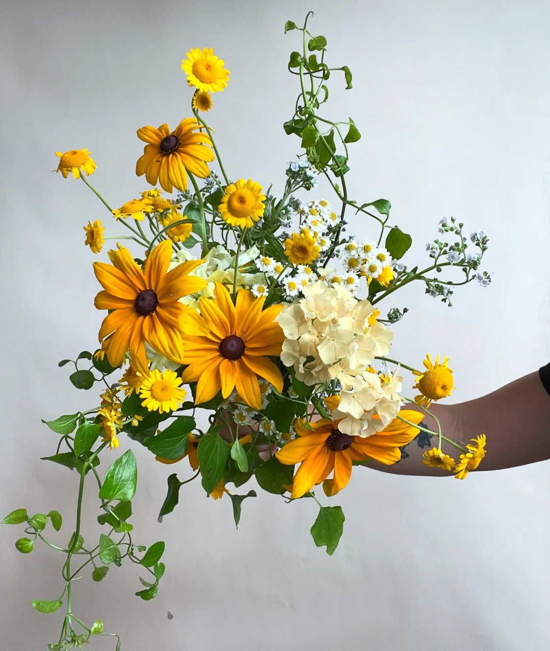 Screenshot 2024-07-10 at 15.42.24.jpeg