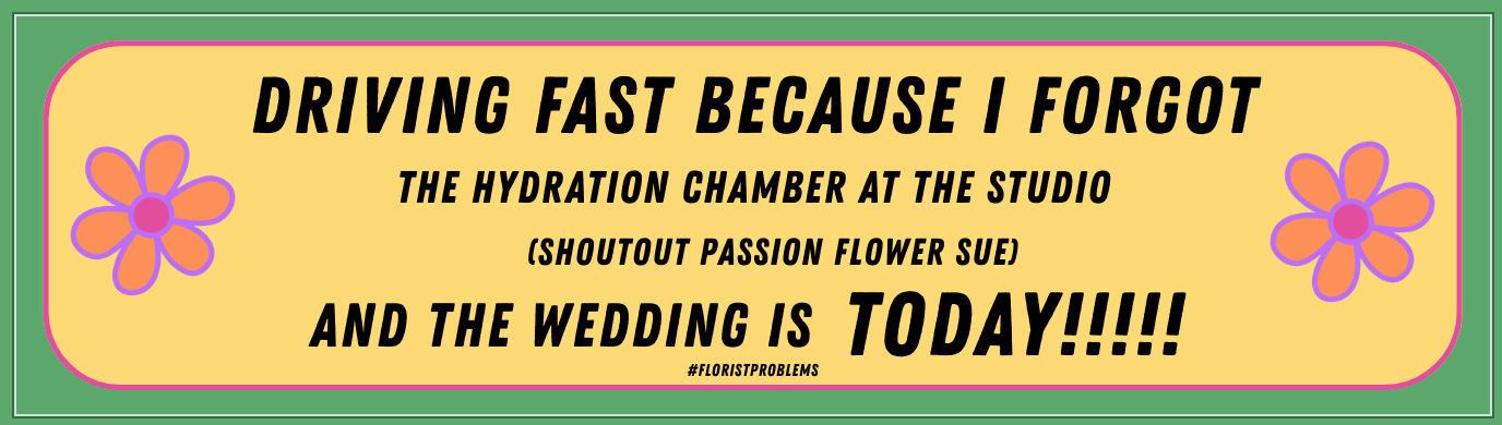 Screen Shot 2026-02-11 at 8.54.15 PM.png