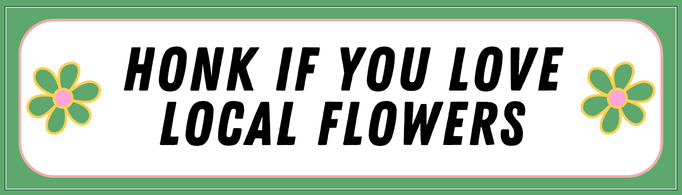 Screen Shot 2026-02-11 at 8.53.27 PM.png