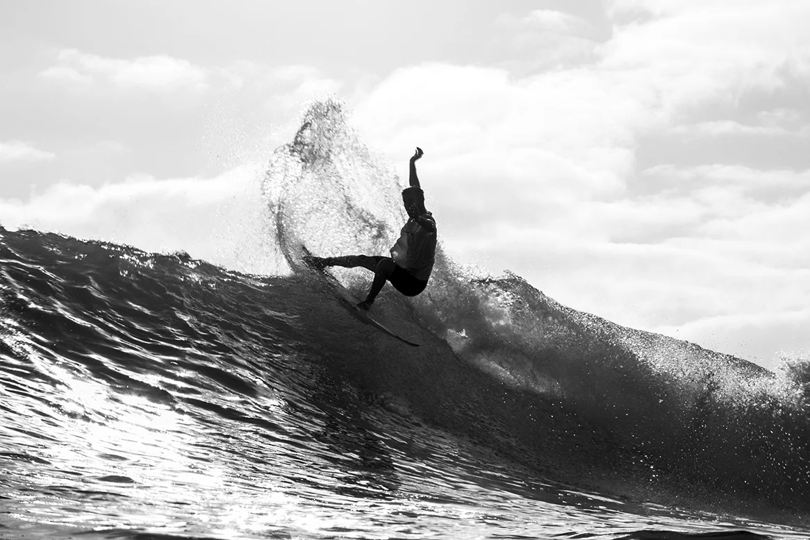 IMG_2231 16-2-16-Snapper-Davey-Cathels.jpg