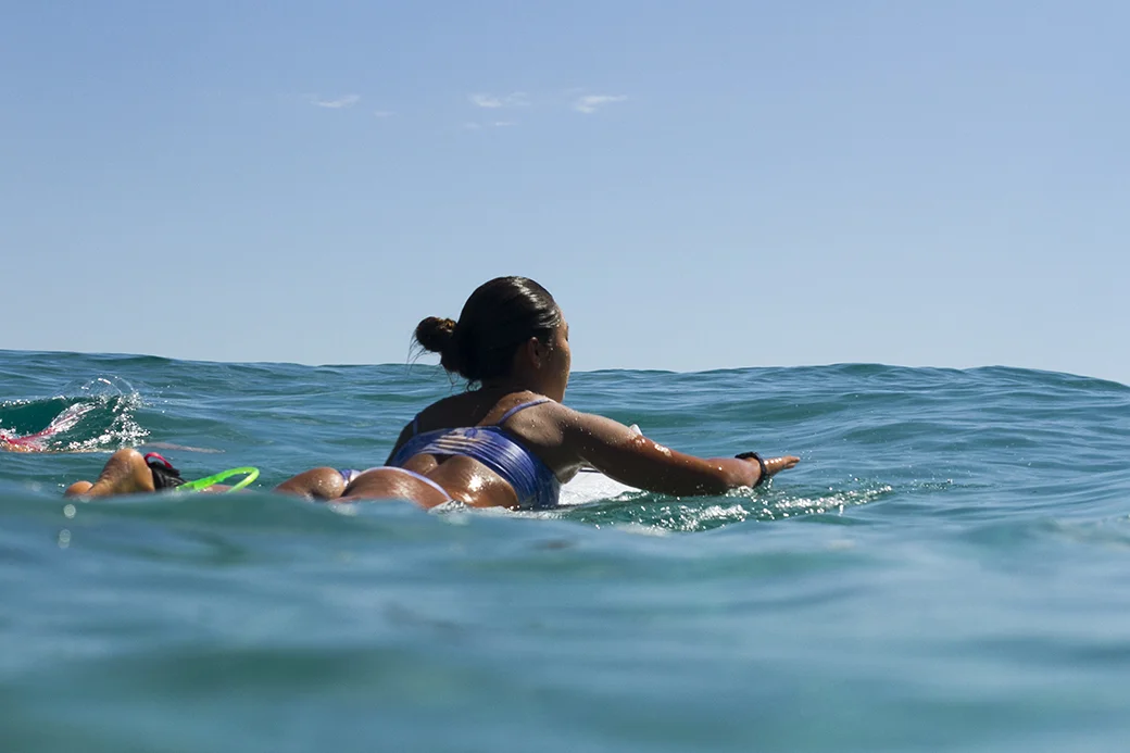 IMG_2370 16-2-16-Snapper-Nao-Omura.jpg