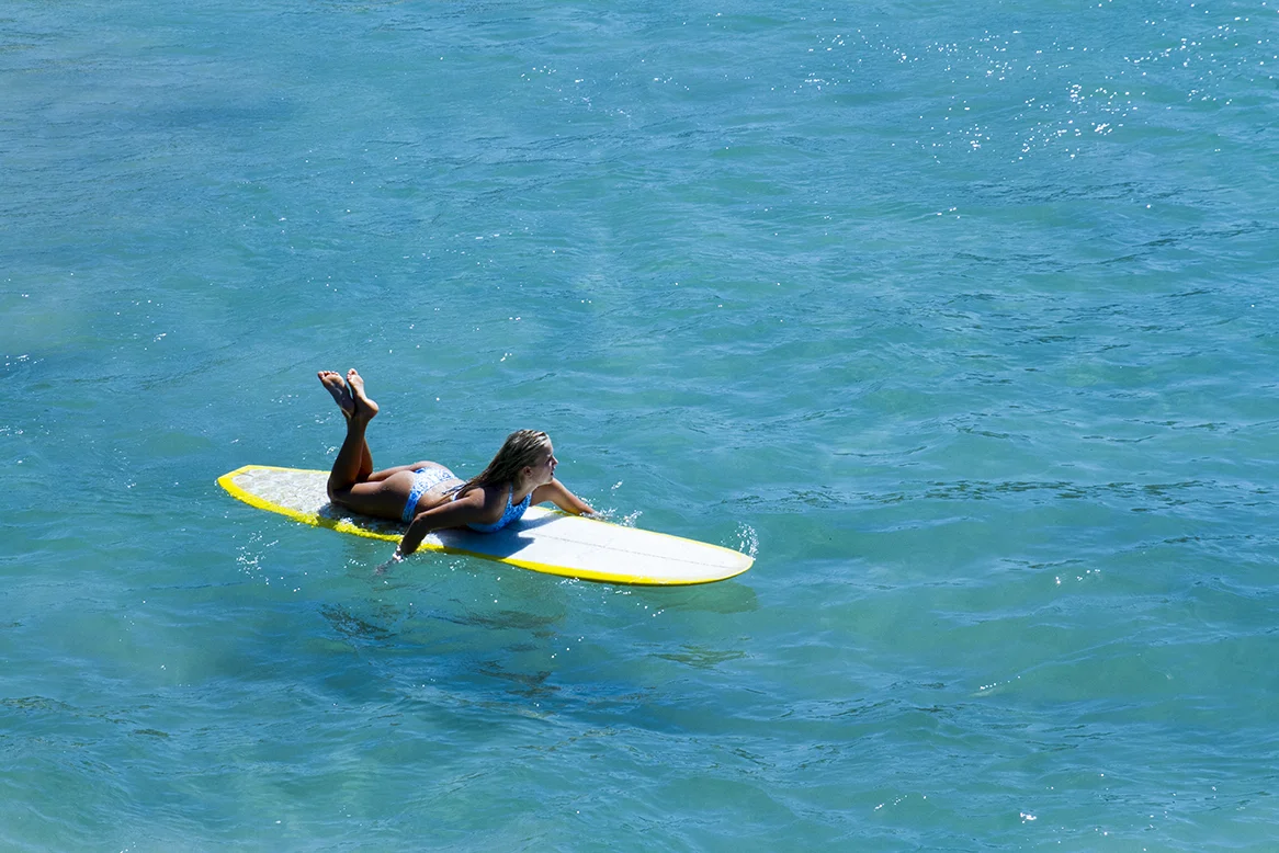 IMG_3115 TOS-27-2-2016-Ivy-Thomas-Fran-Miller.jpg