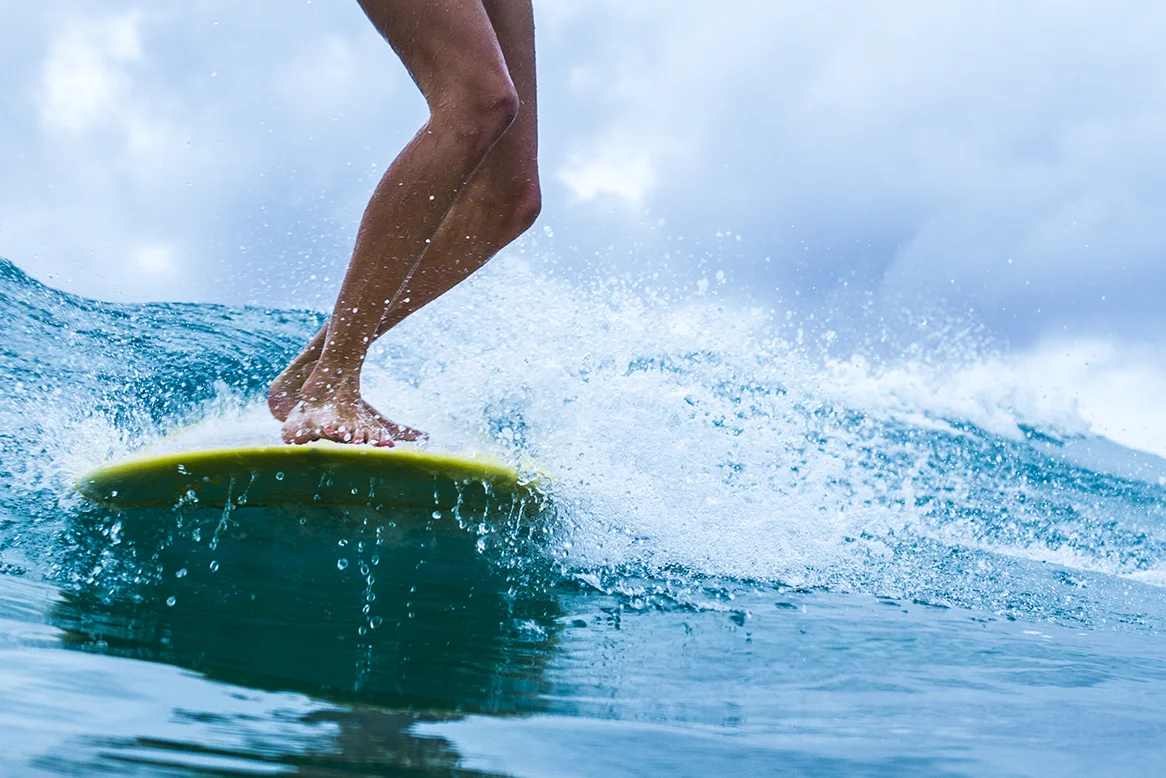 IMG_3558 snapper-5-3-2016-ivy-thomas-oneill.jpg