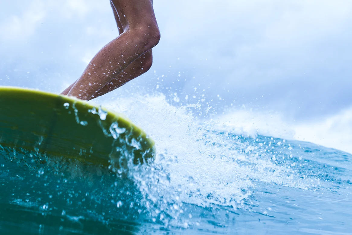 IMG_3559 snapper-5-3-2016-ivy-thomas-oneill.jpg