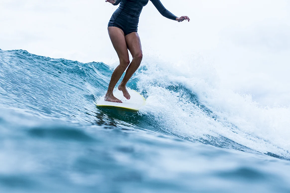 IMG_3603 snapper-5-3-2016-ivy-thomas-oneill.jpg