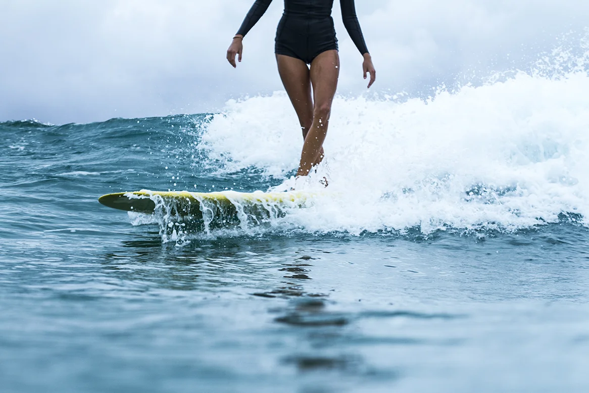 IMG_3697 snapper-5-3-2016-ivy-thomas-oneill.jpg