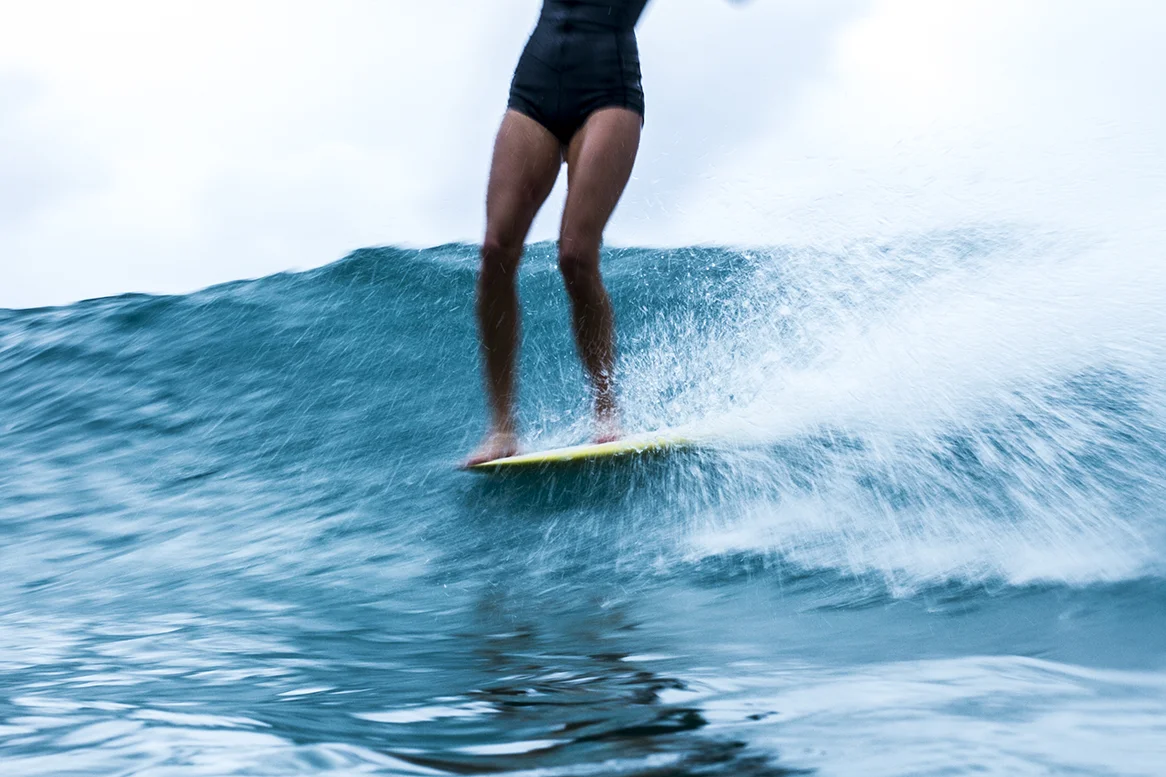 IMG_3715 snapper-5-3-2016-ivy-thomas-oneill.jpg