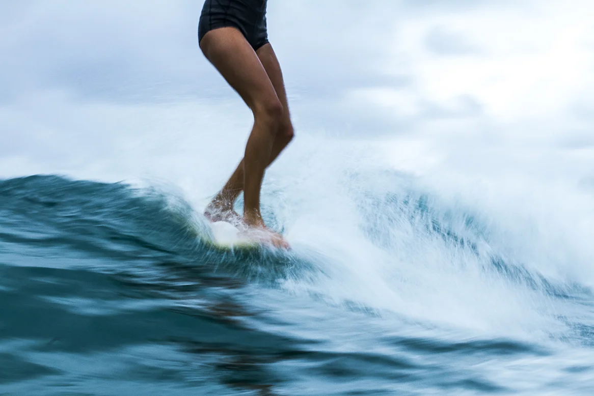 IMG_3721 snapper-5-3-2016-ivy-thomas-oneill.jpg